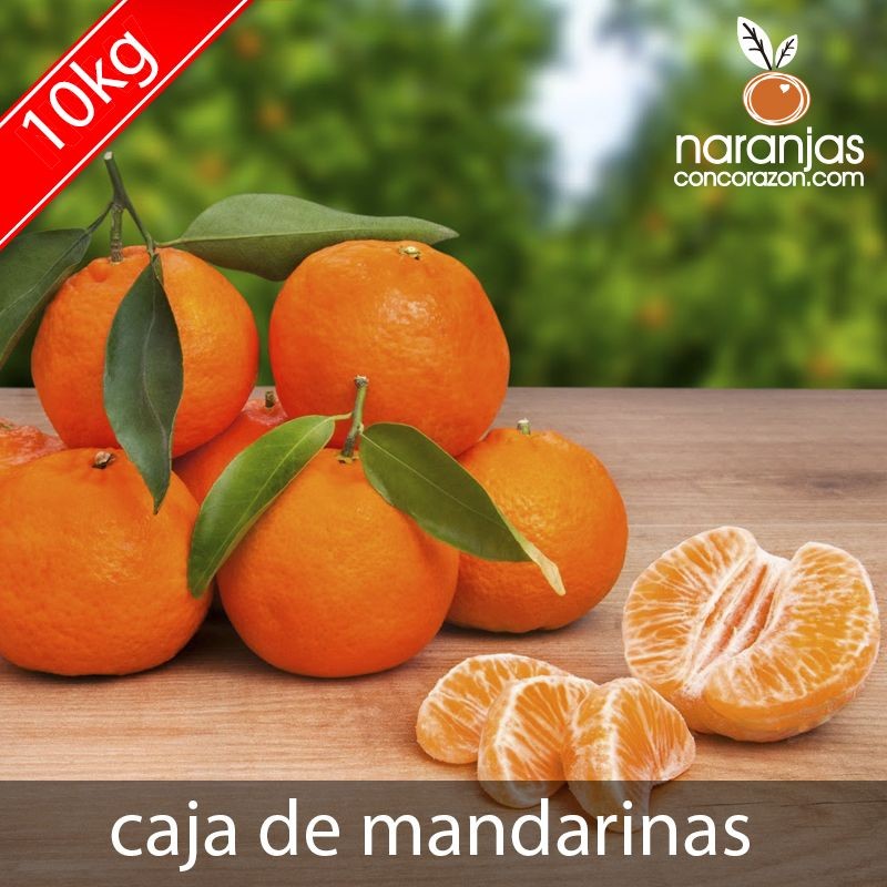 Caja de Mandarinas de Valencia (10 kg)