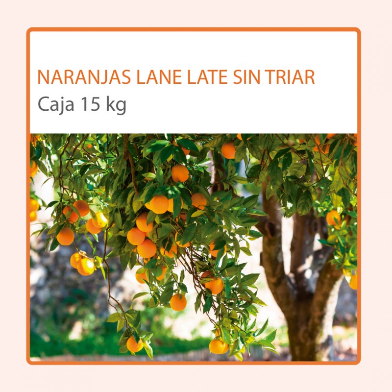 Caja Naranja Lane Late Sin Triar  (15 kg)